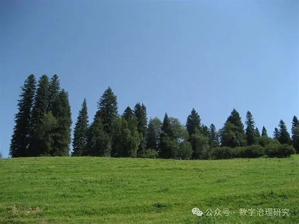 币安变局：危机还是转机？一位老用户的深度观察