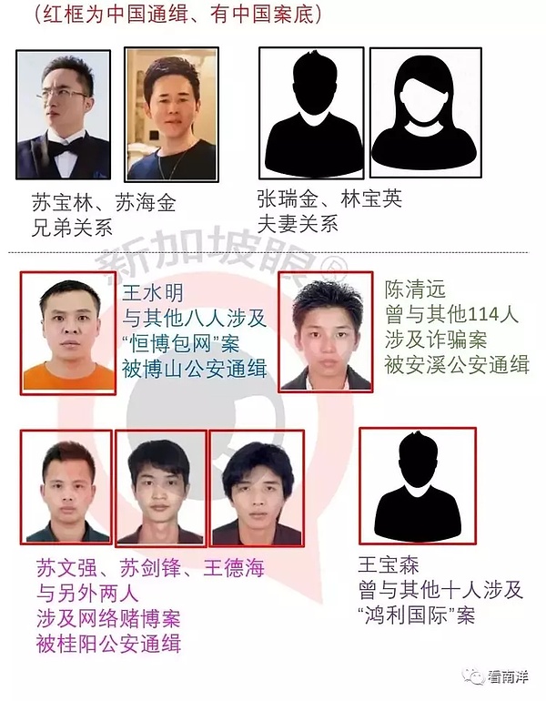 7月Web3市场观察：冰火两重天的数字资产世界